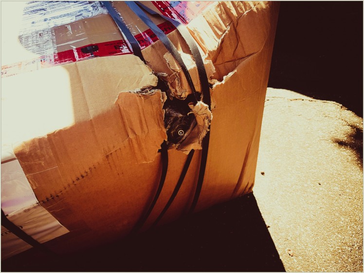 tag-193-3-broken parcel
